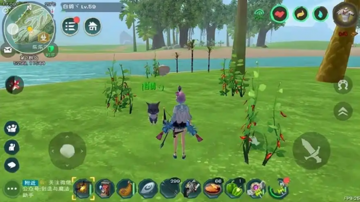 创造与魔法辣椒在哪刷1