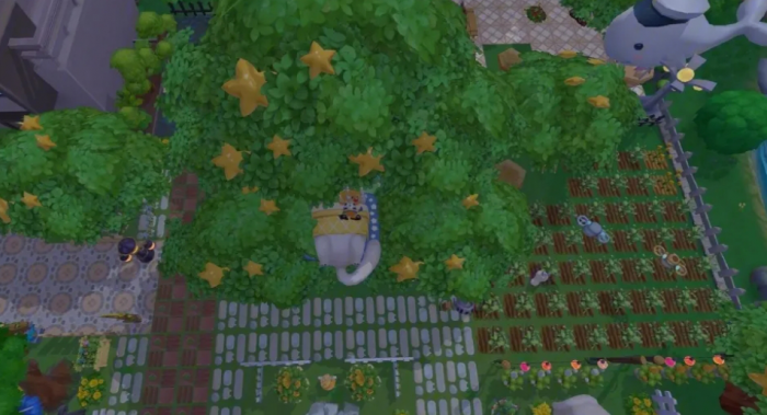 如何在摩尔庄园中安排小鸡的排列顺序2