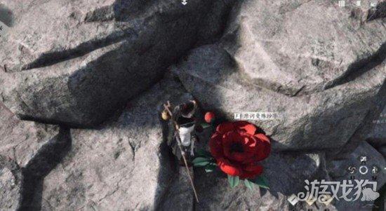 燕云十六声花魁任务怎么过3