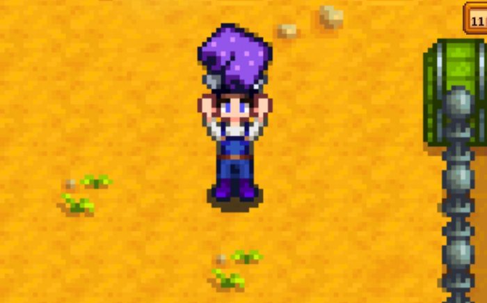 星露谷物语刘易斯的短裤在哪里3