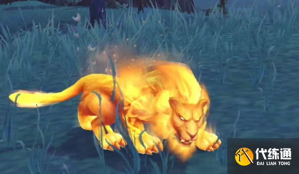 德鲁伊火猫形态_德鲁伊火猫幻化